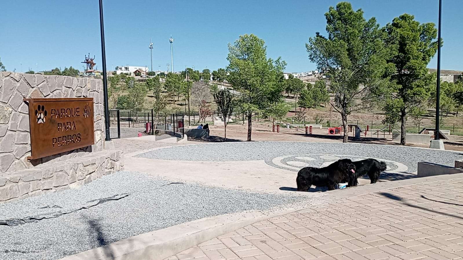 Un parque para perros chihuahua en la Ciudad de México, 4K