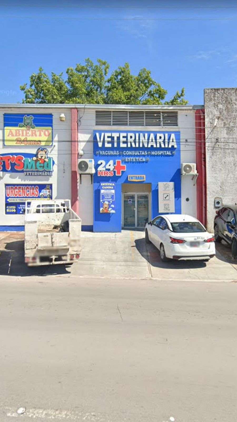 Niegan atención médica a perrito en el Pet’s Med