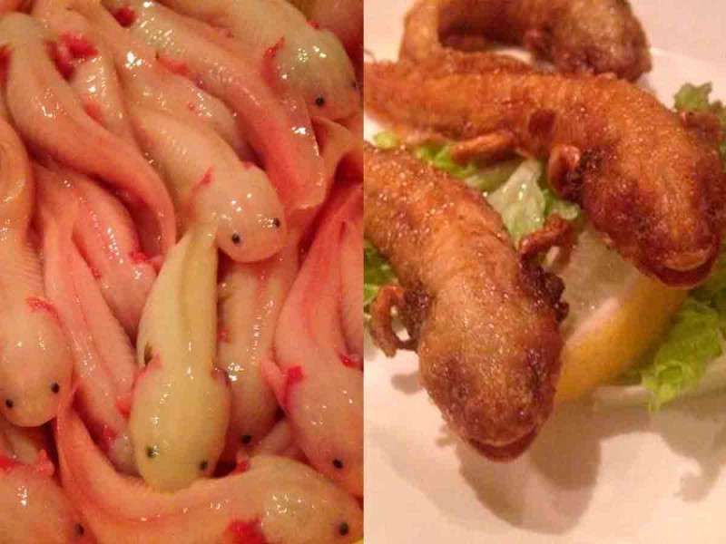 Ofrece restaurante japonés ajolotes fritos en su menú