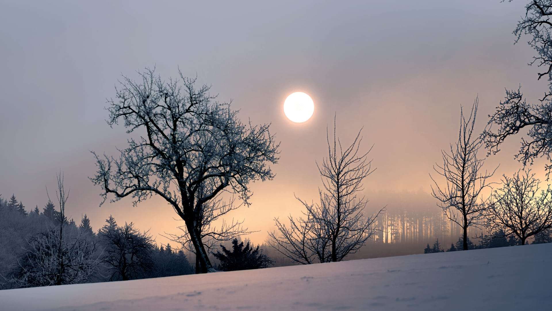 Llega el solsticio de invierno; la noche más larga del año