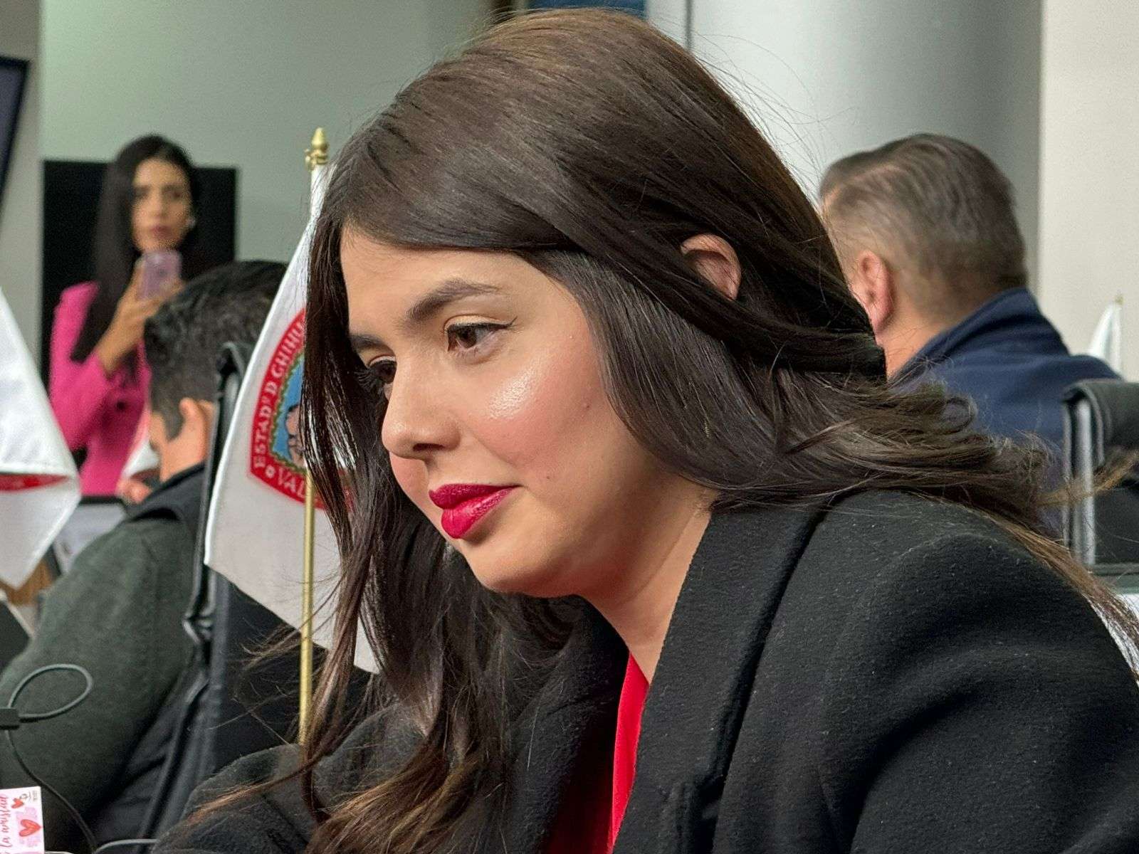 Andrea Daniela Flores Chacón, diputada suplente