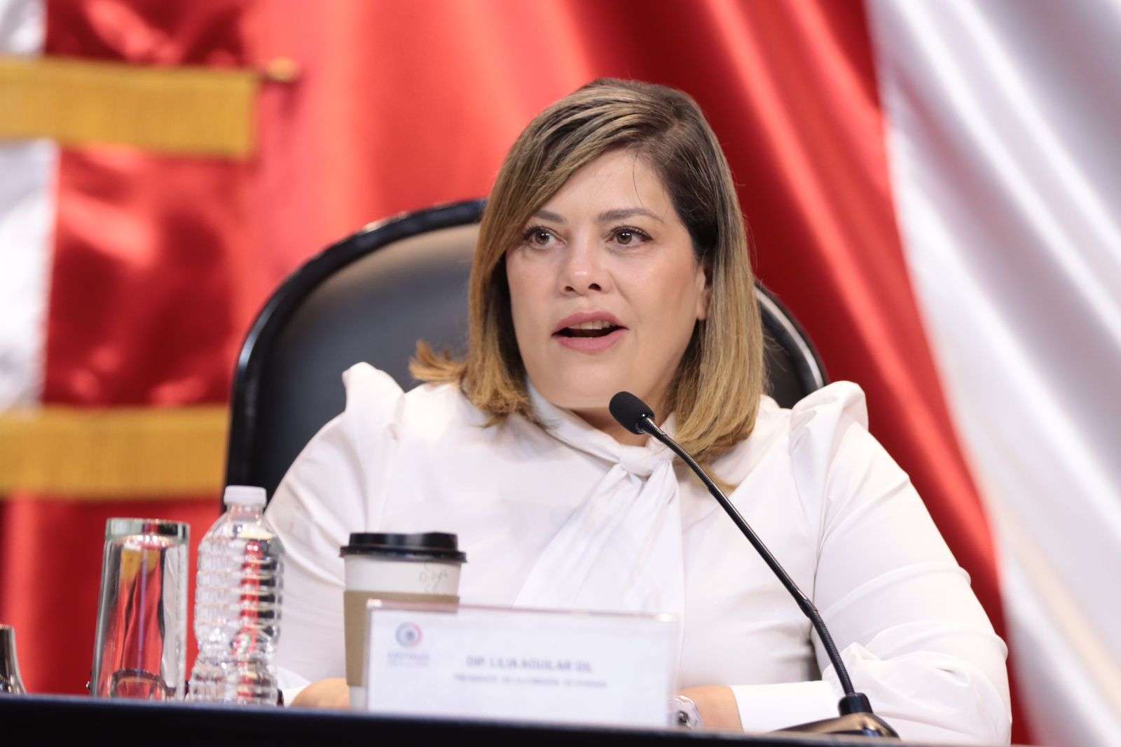 Necesaria la intervención de los tres niveles de gobierno ante crisis migratoria: Lilia Aguilar