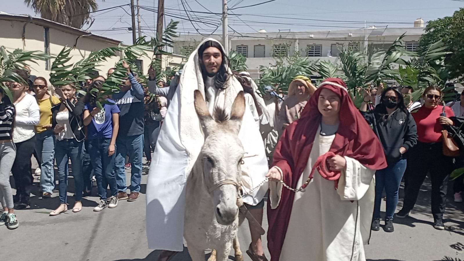 Realizan misa de Domingo de Ramos en la Divina Providencia La Opción