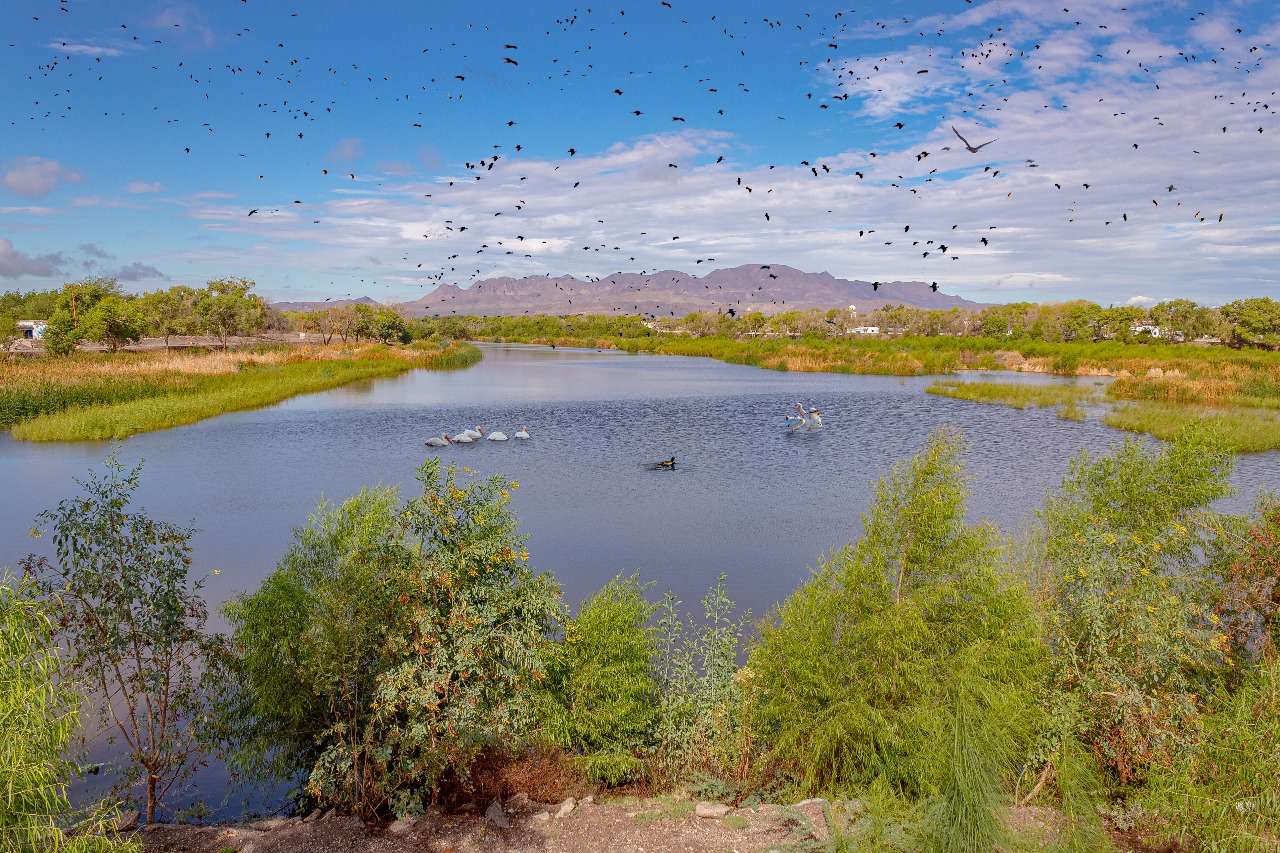 Realizarán ecología y PC de Meoqui rondines en el Rio San Pedro