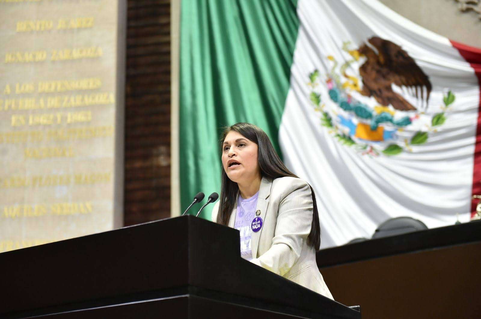 Repartir dinero a migrantes no soluciona el problema: Rocío González