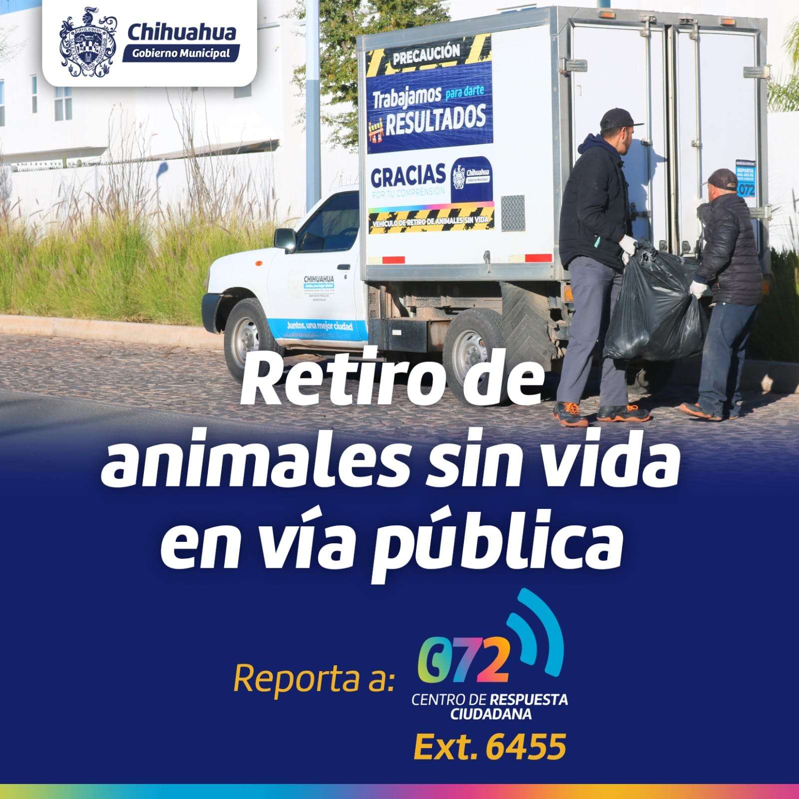 Ofrecen servicio de retiro de animales muertos en la vía pública