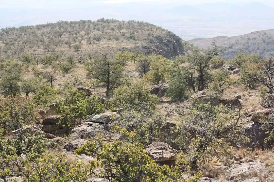 Luchan por la preservación del Cerro del Caballo en Chihuahua