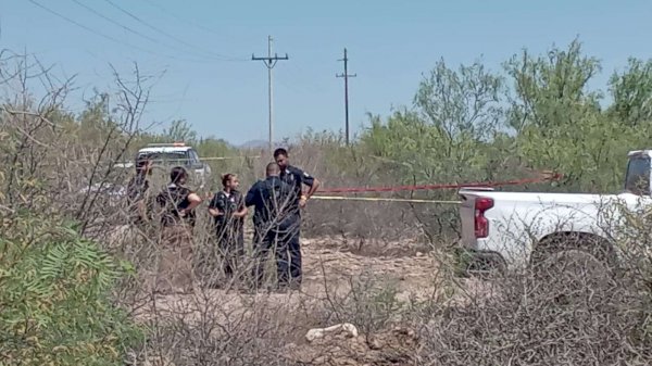Hallan otro cuerpo carcomido por la fauna; ahora al norte | La Opción ...
