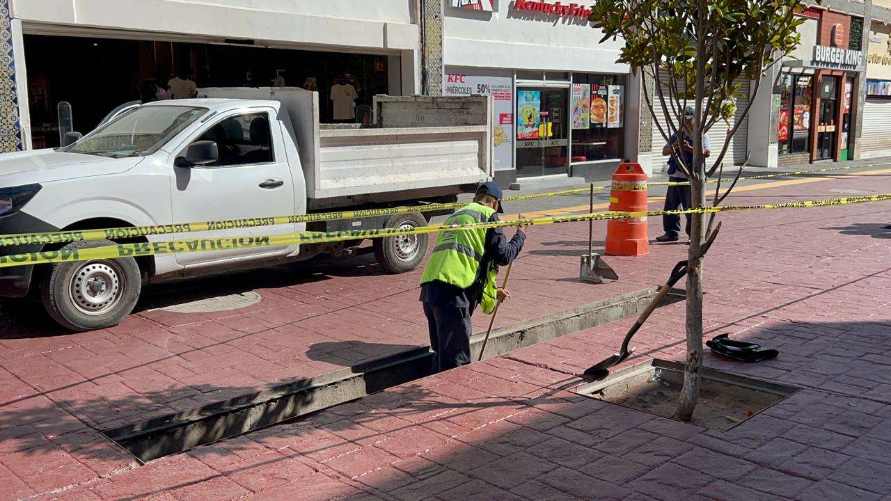 Asean cepos de basura y limpian rejillas del centro de la ciudad | La ...