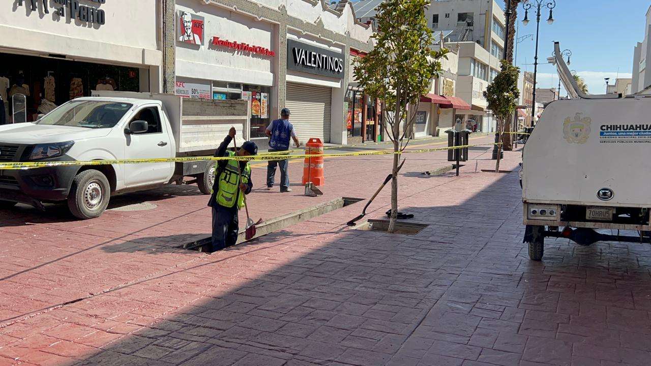 Asean cepos de basura y limpian rejillas del centro de la ciudad | La ...