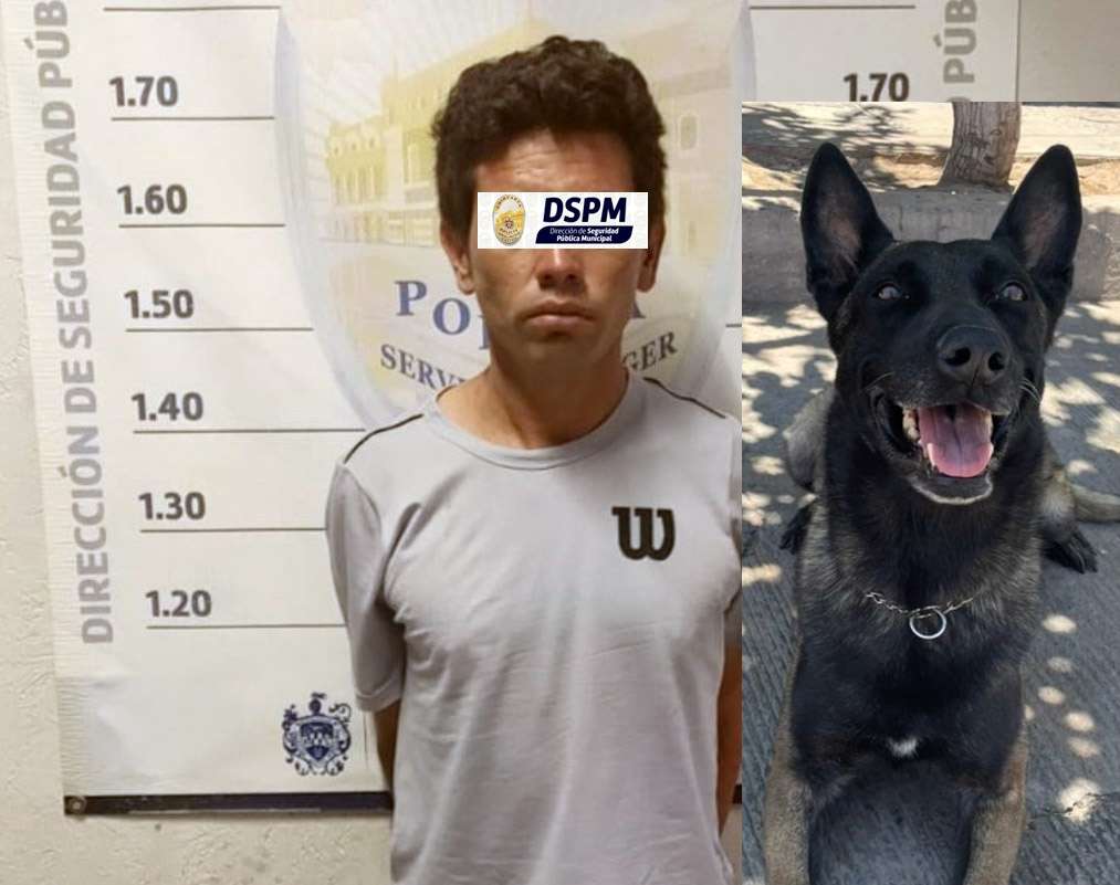 Somete perro policía a presunto ladrón
