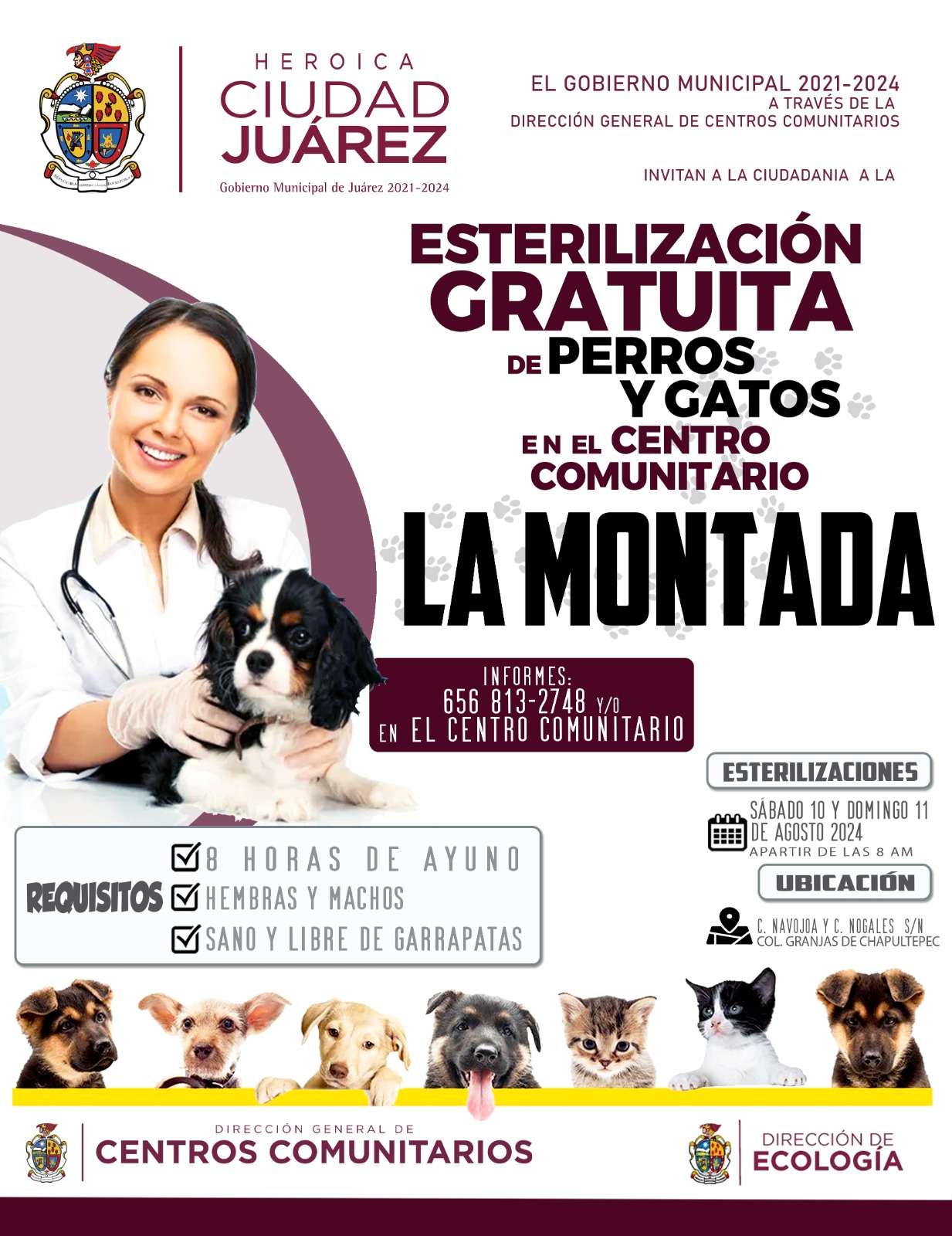 Esterilizarán gratis a mascotas en Centro Comunitario La Montada