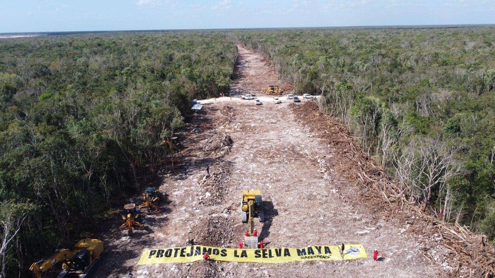 Critica cadena de TV alemana impacto ambiental con video reportaje al Tren Maya