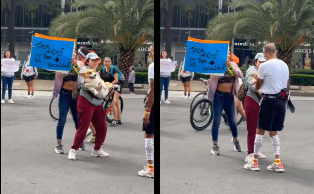 Roba corazones perrito corgi en Maratón de la Ciudad de México