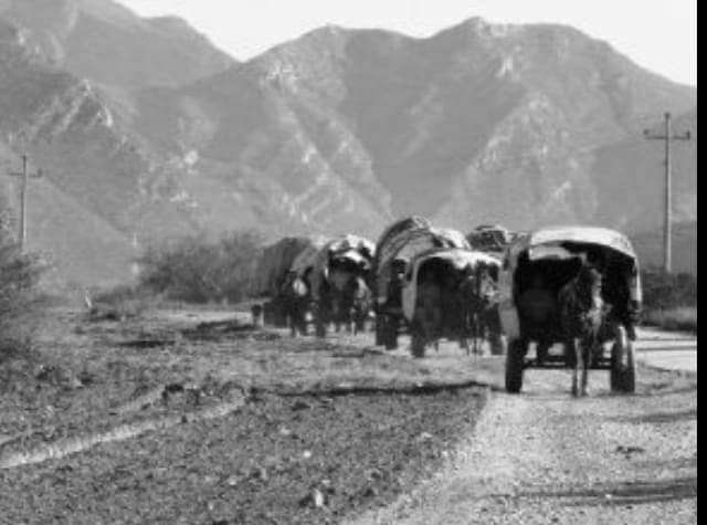 La caravana de los chinos