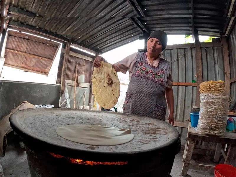 Corren posible peligro de extinción Tortillas Tlayudas