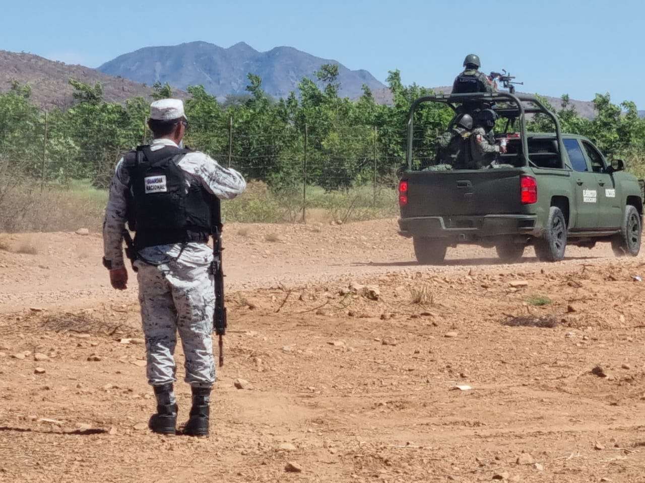 Hallan tres ejecutados en narcocampamento 