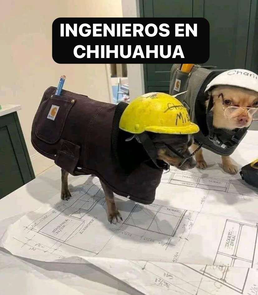 Los Chihuahuitas 