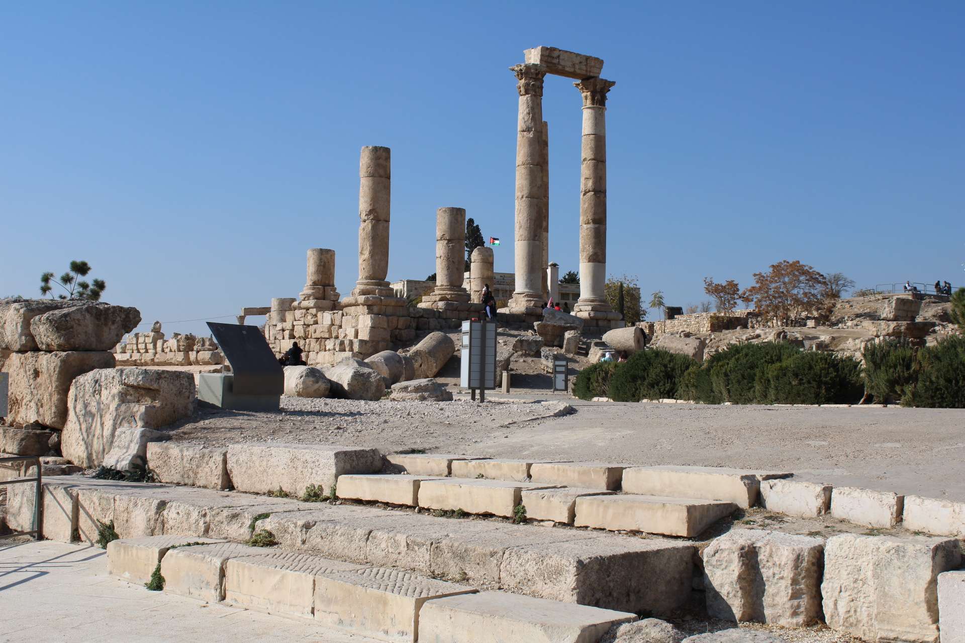 Las columnas