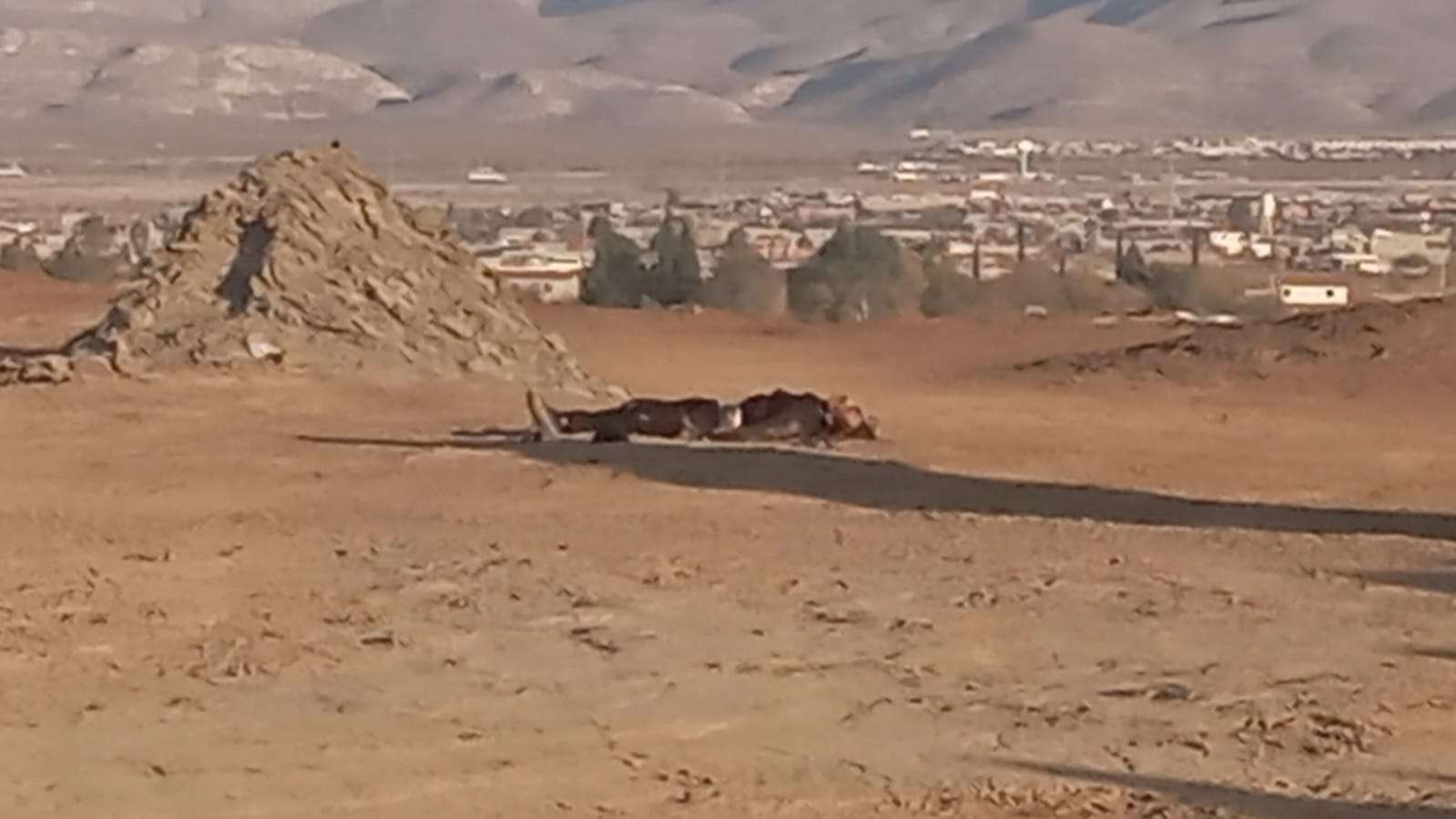 Identifican a baleado cerca de la minera Ávalos
