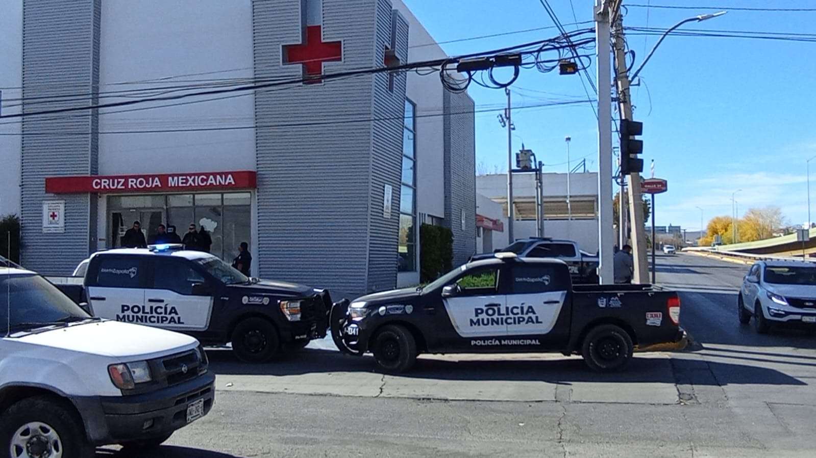 Ve posible sacrificar a perros pitbull que mataron a niño
