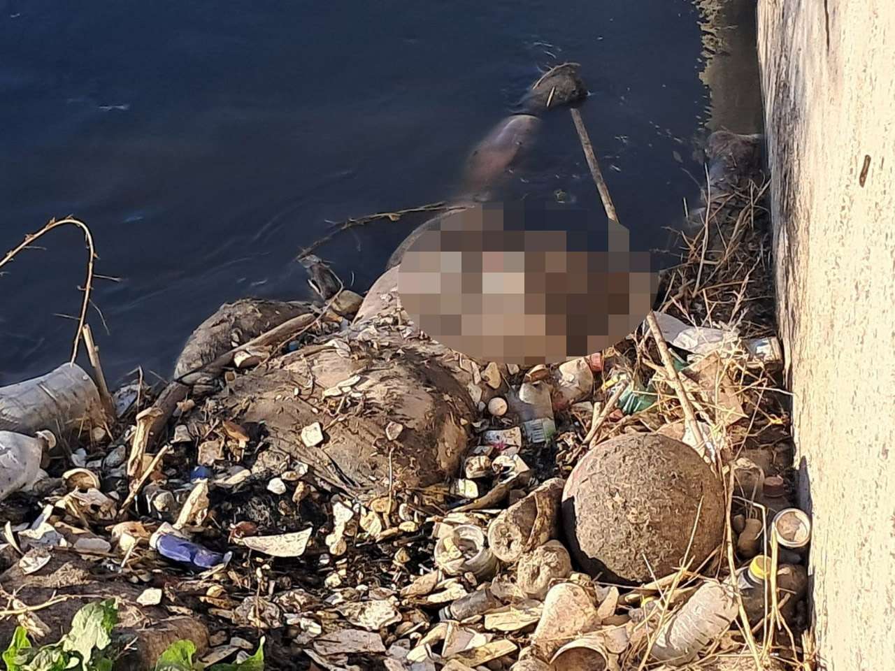 Hallan una muerta flotando en canal en Guadalupe D. Bravos