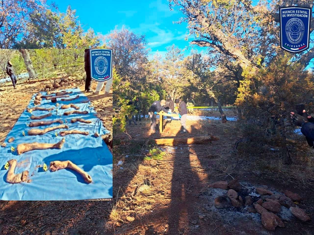 Identifican a 3 de los 4 descuartizados hallados en fosa de Casas Grandes