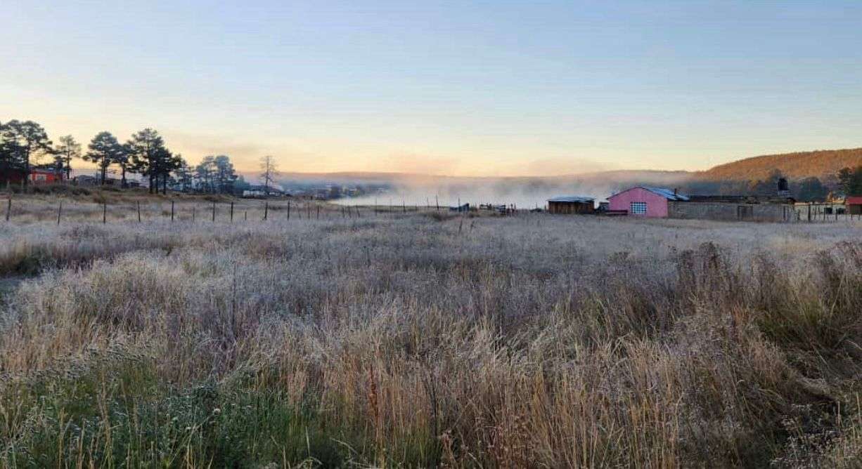 Baja temperatura en Cuauhtémoc a -9.8 grados centígrados