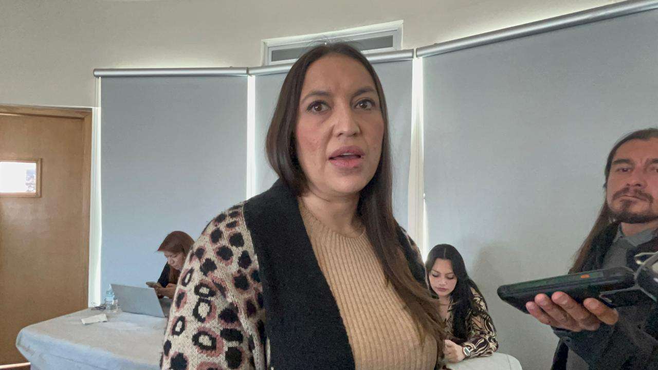 Alarma violencia de género con y sin alerta: Wendy Chávez