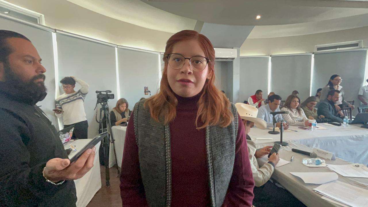 Condena Jael Arguelles violencia en contra de Diputada y Síndica