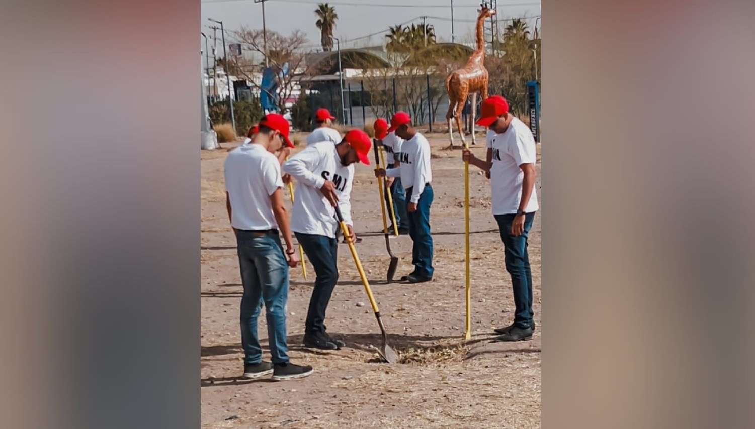 Reforestan el parque Central con 200 árboles