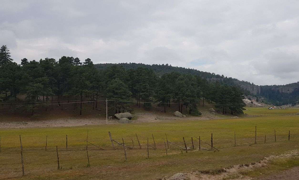 Registra San Juanito -4.3°C como la temperatura más baja