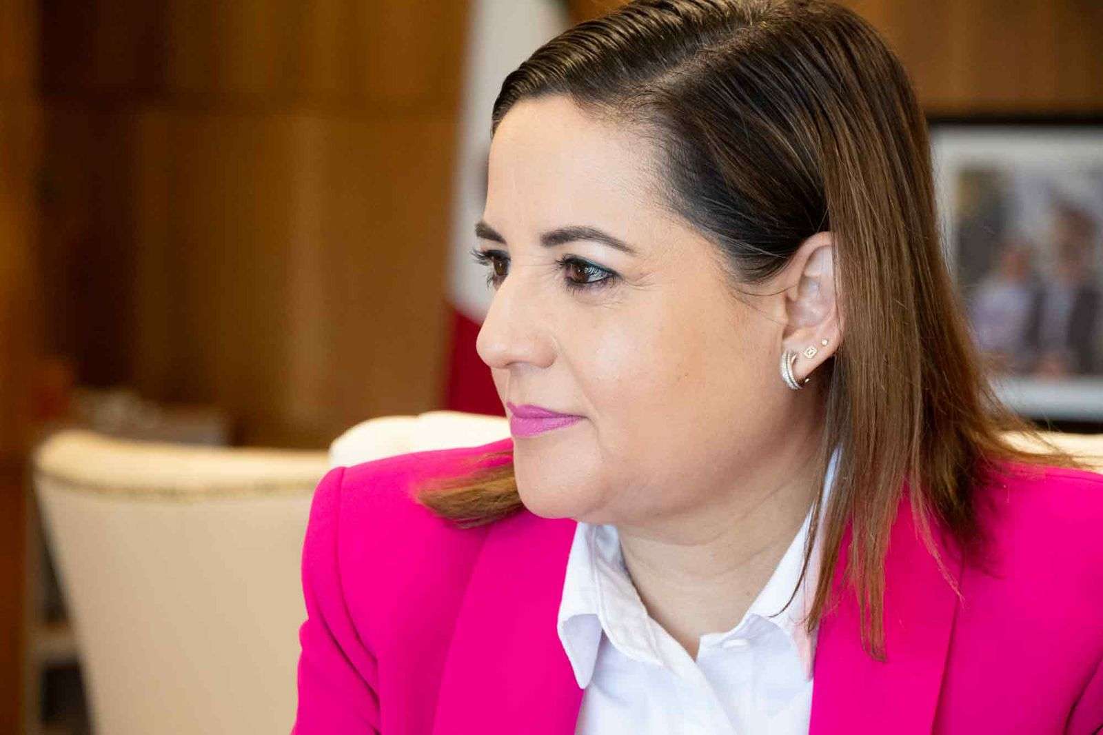 Agradezco al Congreso por aprobar reforma: Myriam Hernández

