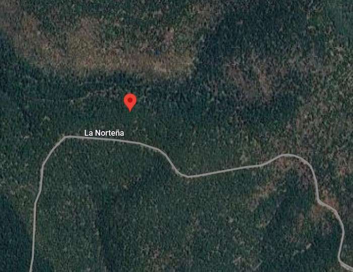 Buscan a desaparecidos sepultados clandestinamente en panteón de Madera