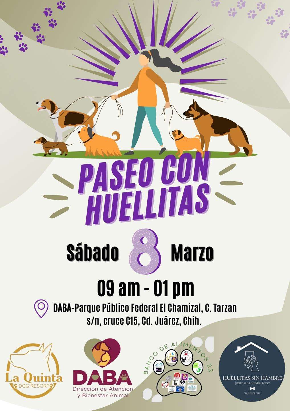 Realizan mañana "Paseo con Huellitas" para promover adopción de mascotas