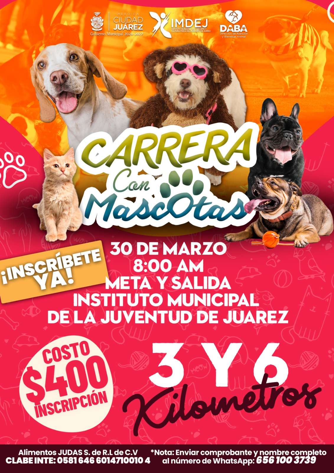 Realizarán segunda Carrera con Mascotas