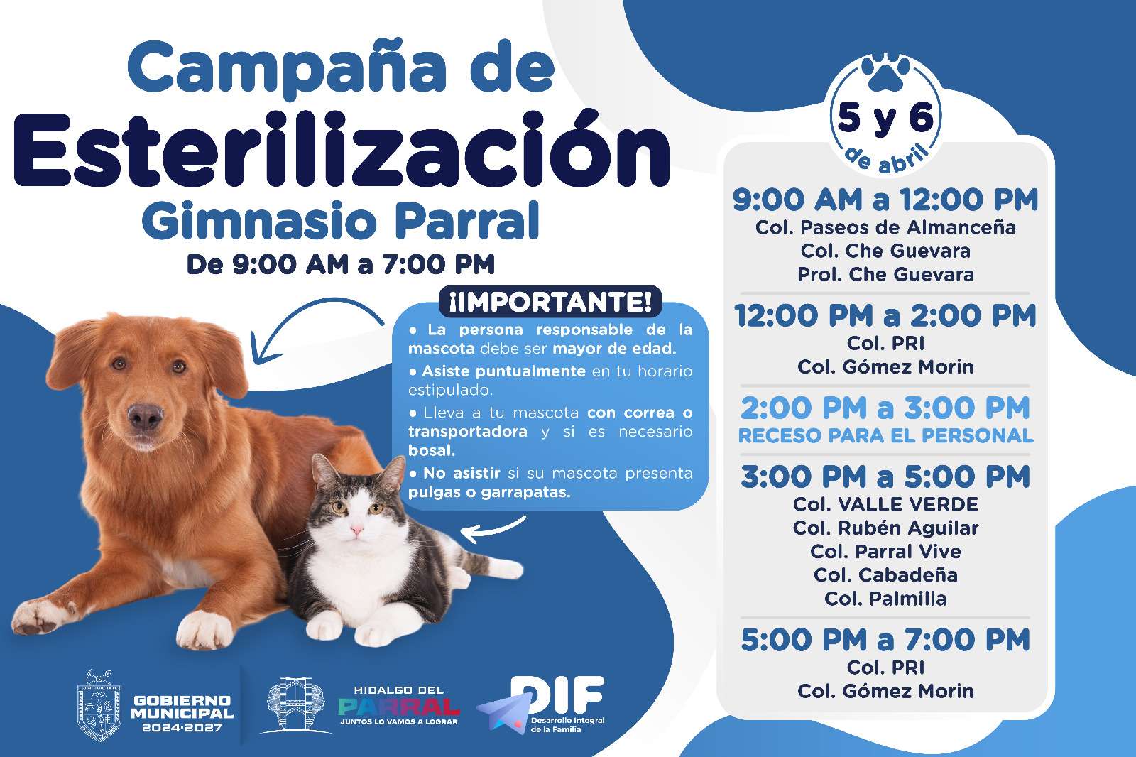 Esterilizan perros y gatos este fin en Parral
