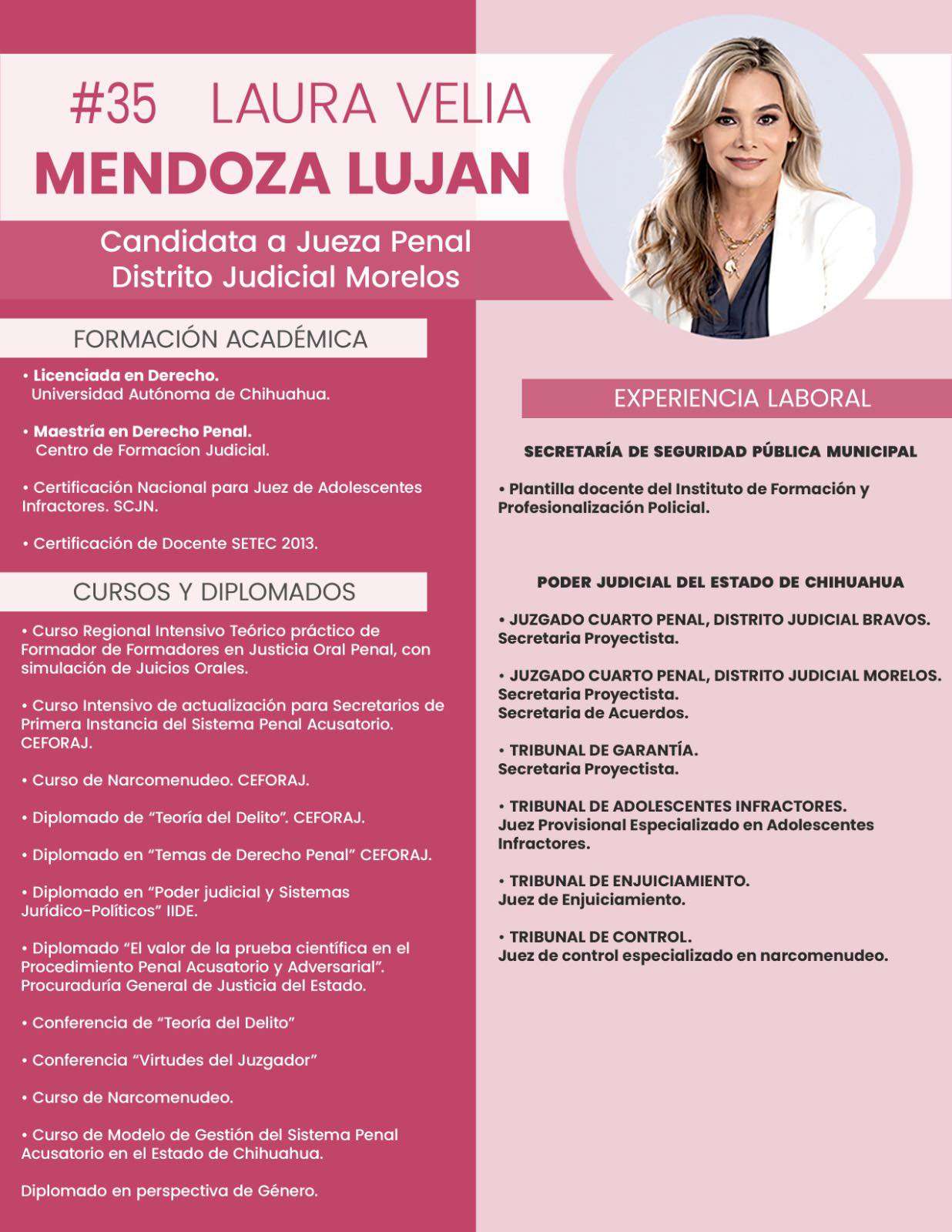 Busca Laura Velia Mendoza ser jueza penal en el Distrito Judicial Morelos