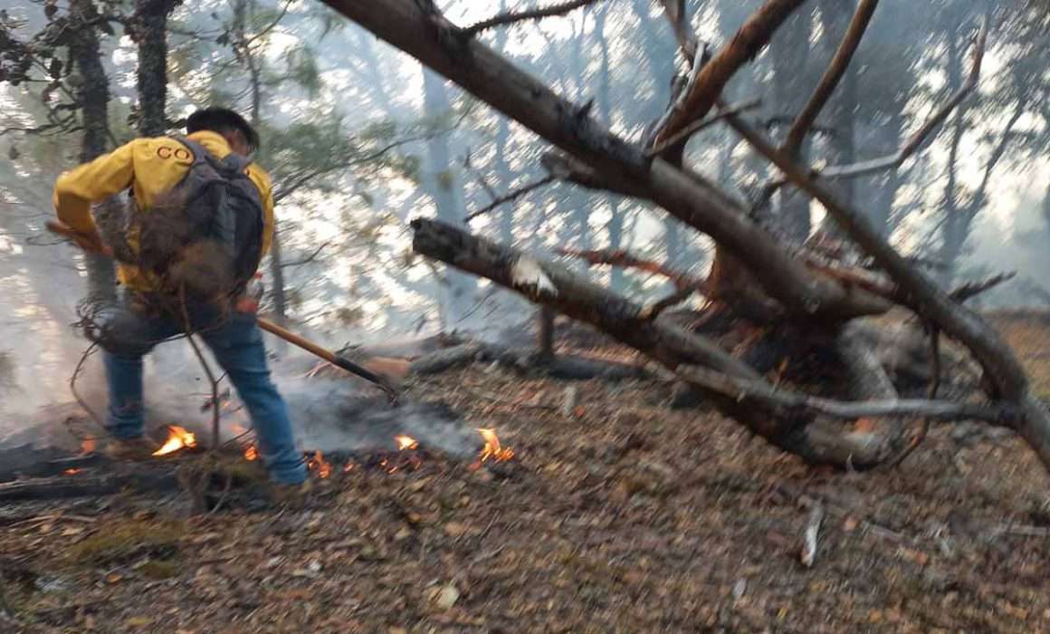 Mueren dos en fuerte incendio forestal en Oaxaca