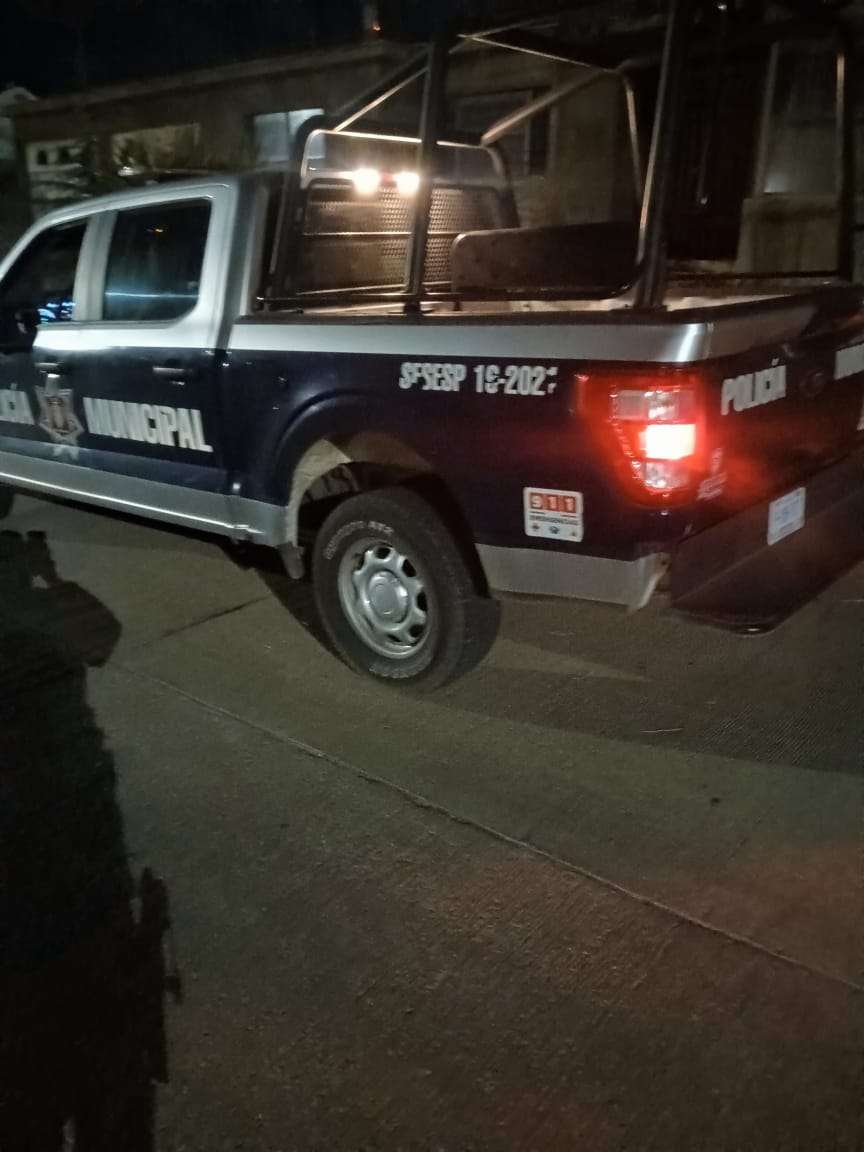 Ataca y mata con machete a perro de compañía en Cuauhtémoc