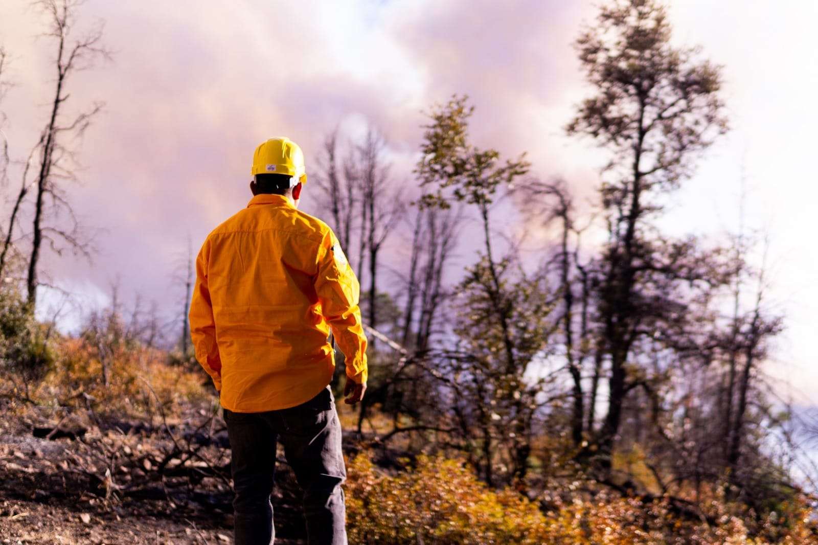 Reportan 12 incendios forestales activos en el estado