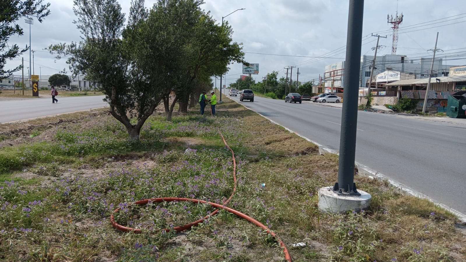 Tendremos hoy una mañana soleada y tarde parcialmente nublada