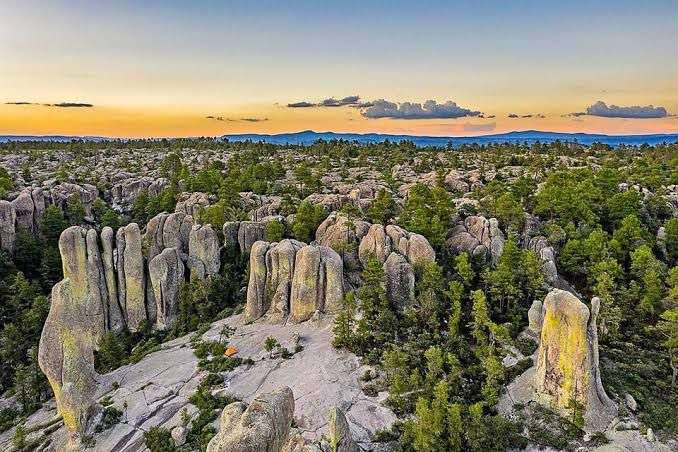 Siguen bajas temperaturas en El Vergel con 3.7 grados 