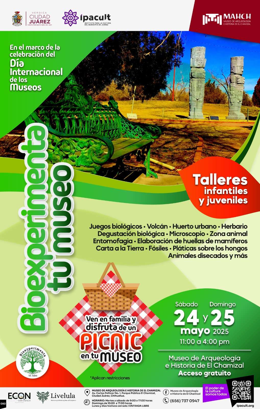 Invitan a Bioexperimenta tu Museo, hoy y mañana