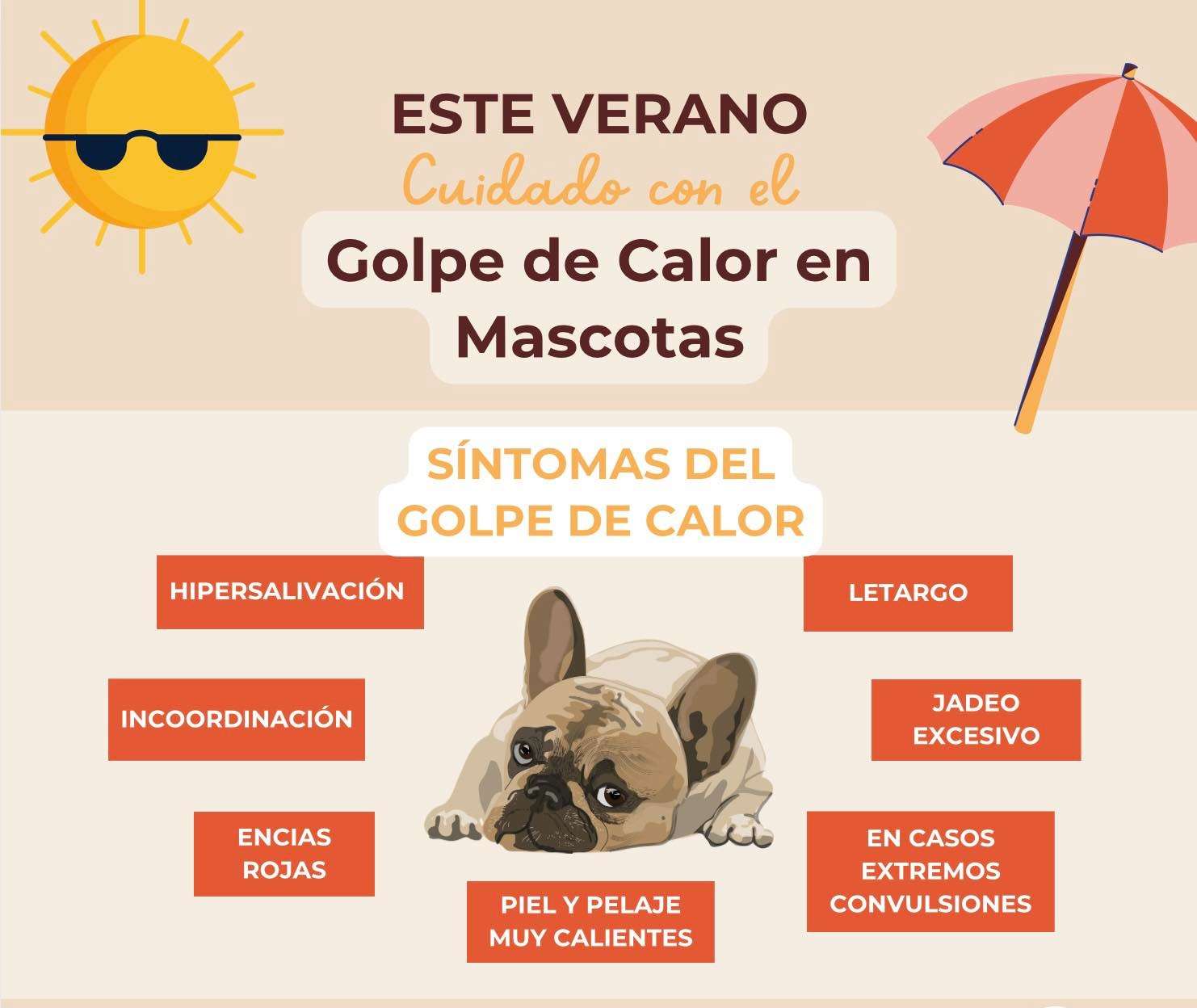 Evita golpes de calor en mascotas: emiten recomendaciones para este verano