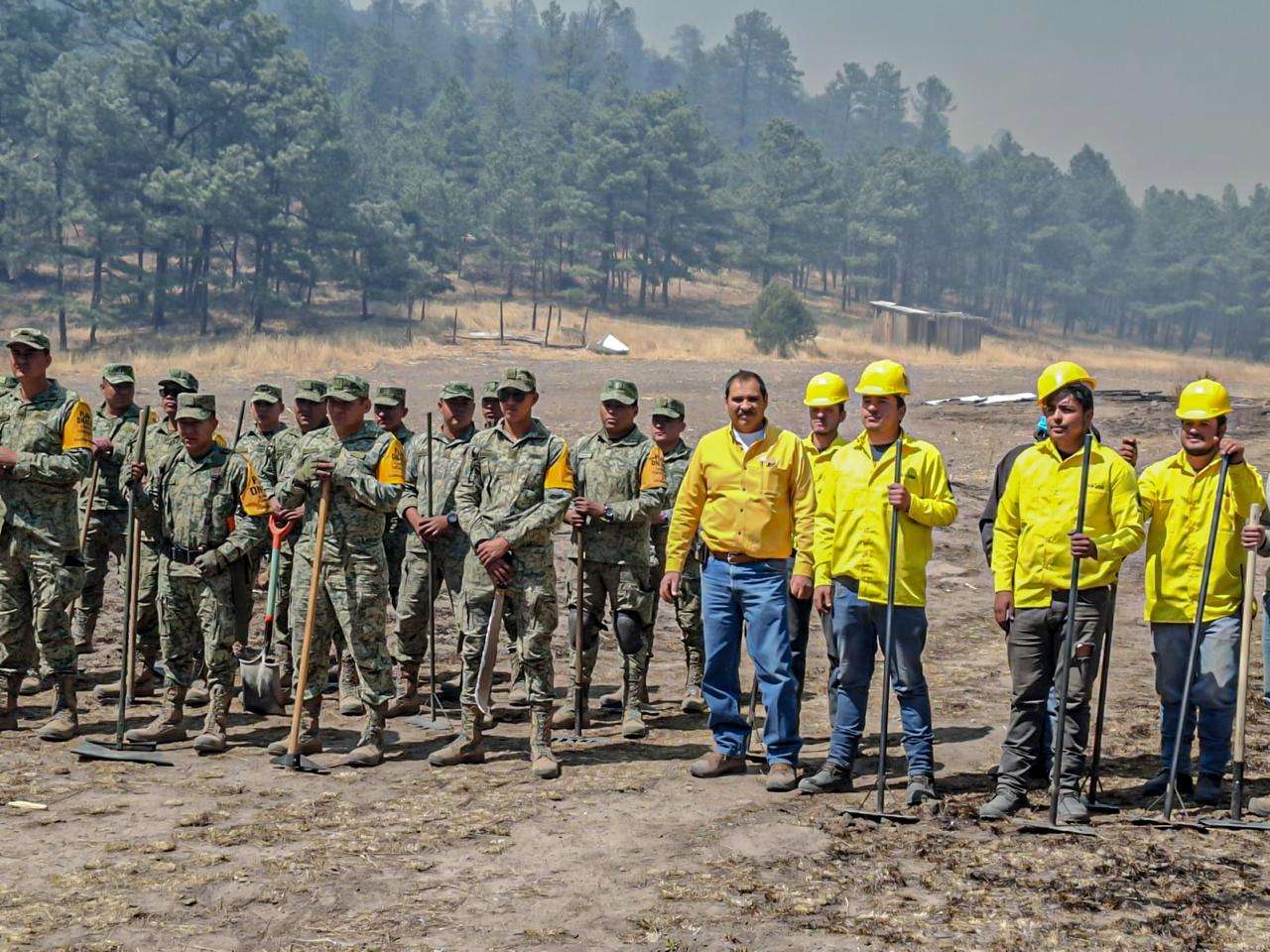 Reportan hoy cero incendios forestales en el estado