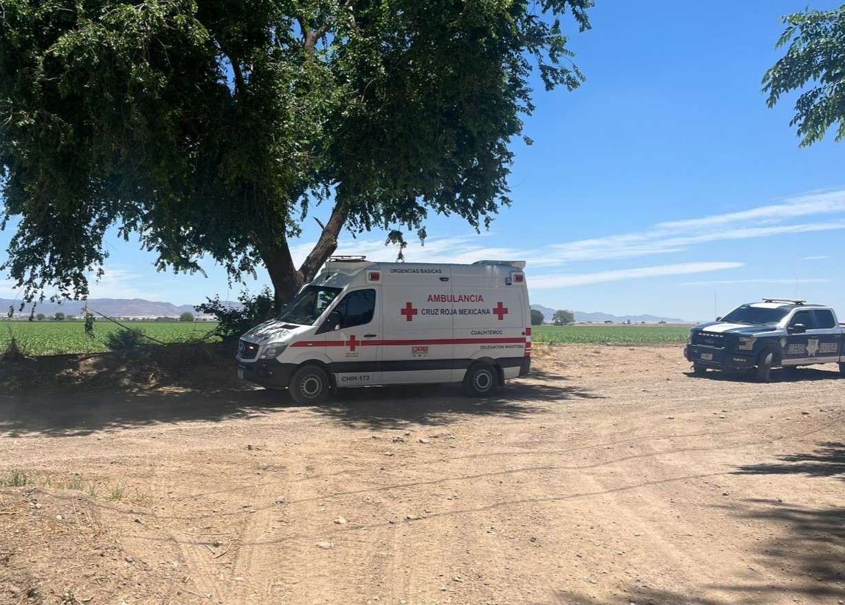 Hallan un muerto en campo menonita de Cuauhtémoc