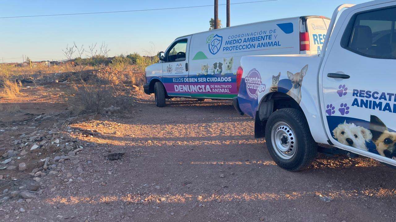 Analizan sancionar a empresa por tirar chapopote en Sierra Azul