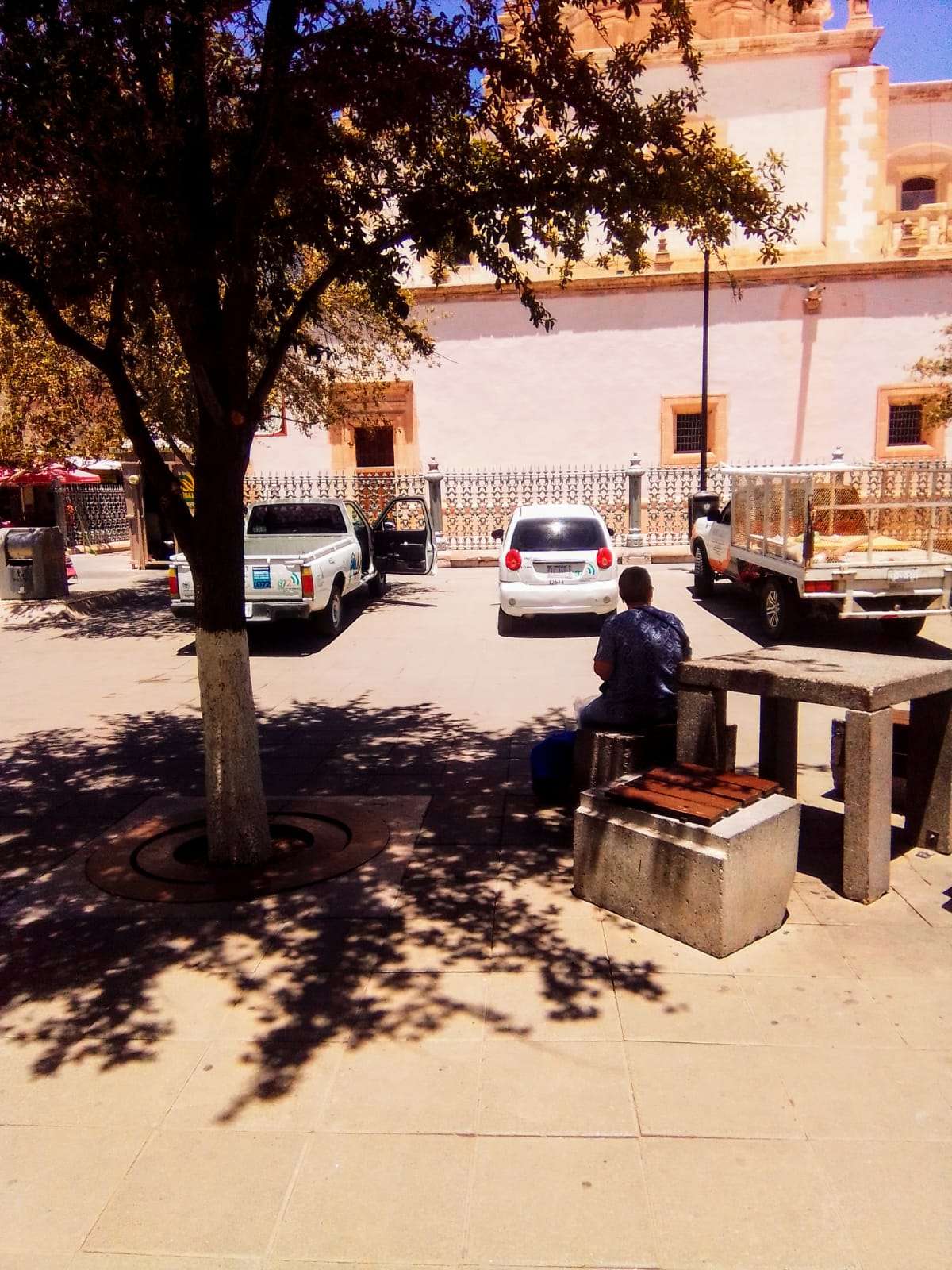 Invaden vehículos zona adoquinada en Catedral