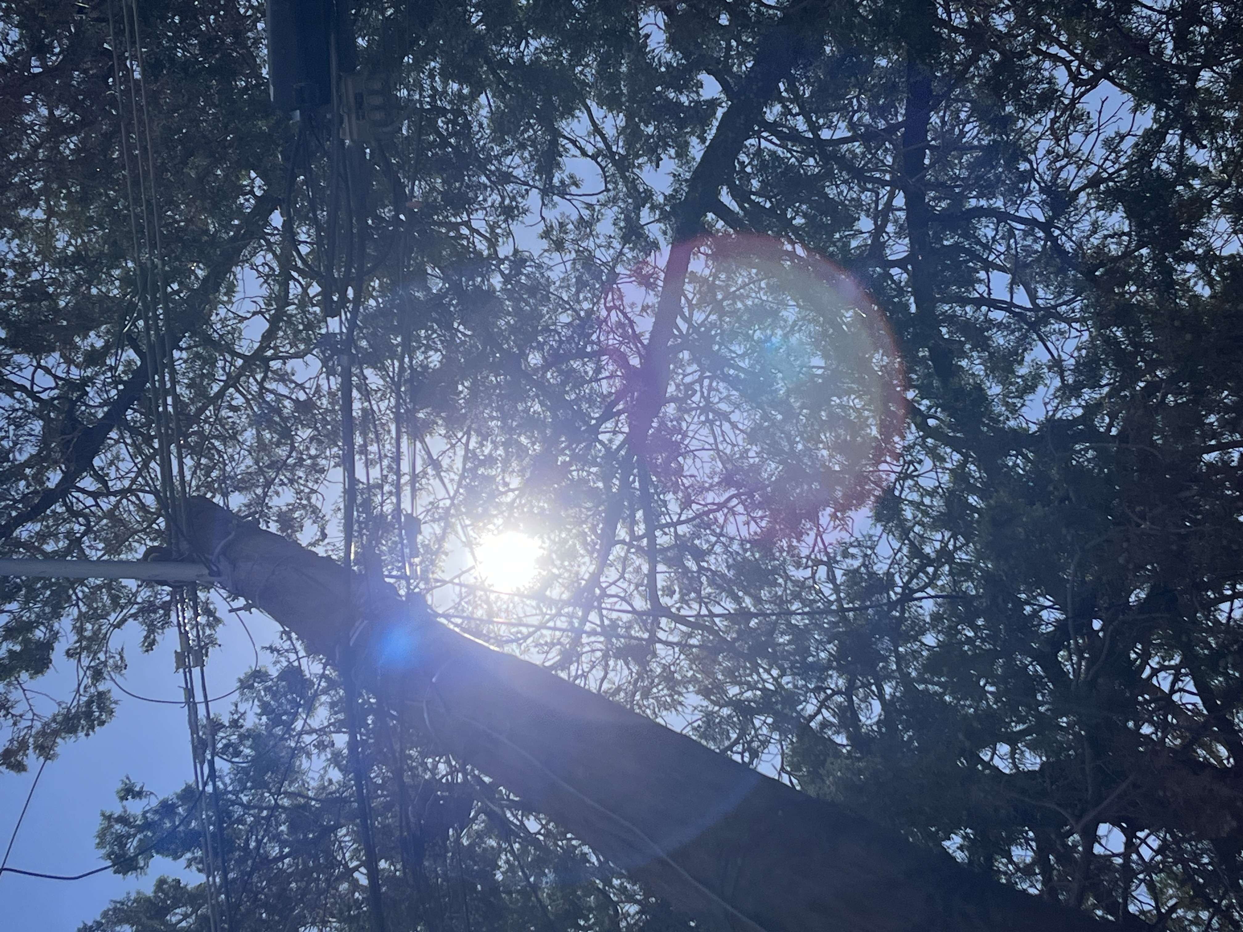 ¡Prepárate para el calor! Ciudad Juárez espera 37°C este domingo